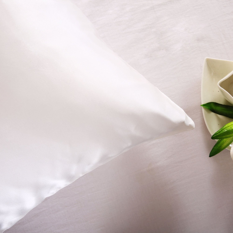 Sarung Bantal Sutra Murbei Ala - Silk Pillowcase ulasan dan harga
